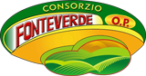 FONTEVERDE